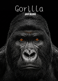 Gorilla Black 3ver.1.1