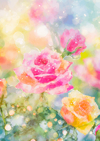 Beautiful rose flower(R1564)