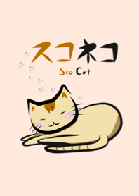 Daily ScoCat