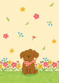 A Dog and Spring Flowers