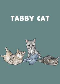 tabbycat5 - cadet blue