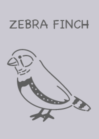 Zebra finch simple gray