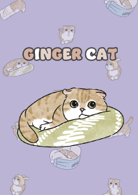 gingercat11 / violet
