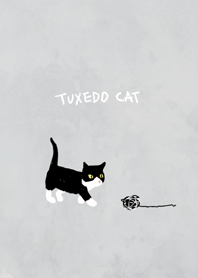 The tuxedo cat