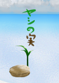ヤシの実
