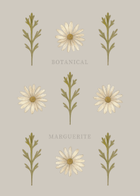 BOTANICAL - MARGUERITE / GRAY