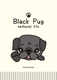 Black Pug -nathural life-