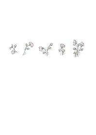 Small flowers2