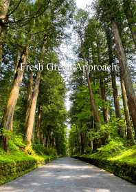 Fresh green approach vol.3
