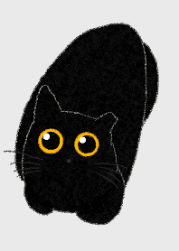 小黑貓貓