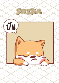 ปัน ใครไม่บะ ชิบะ 4 V12