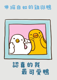 伸縮自如的雞與鴨最可愛鴨 2024 LET'S DRAW
