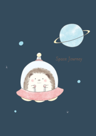 Hedgehog and Space -navy-