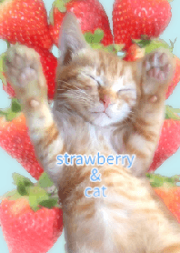 strawberry & cat (green)