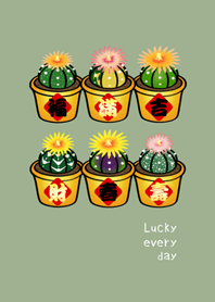 Lucky Potted Plant(grey green)