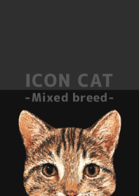 ICON CAT - Mixed breed cat - BLACK/02