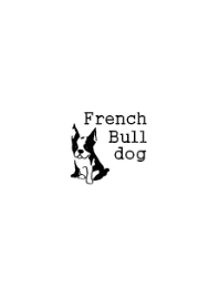 French Bulldog.