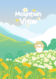 Little Duck Mountain View V