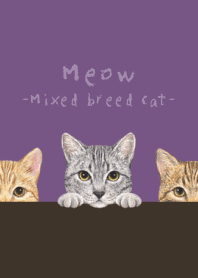 Meow -Mixed breed cat 03- ANCIENT PURPLE