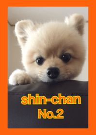 cute shin-chan no.2