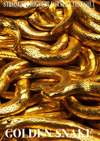 黄金の蛇　幸運の70