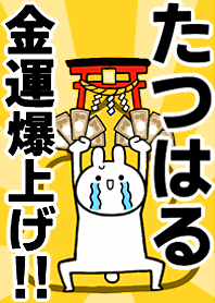 【たつはる】専用☆金運爆上げ着せかえ