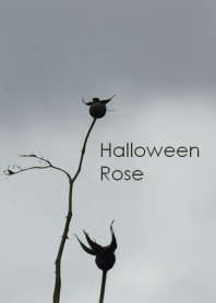 Halloween Rose