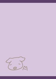 Laid back Pig on purple