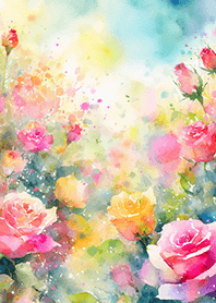 Beautiful rose flower(R5013)