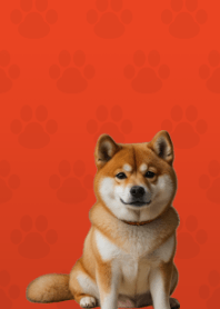 Cute Shibainu Theme Red 02