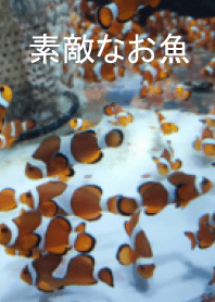 素敵なお魚