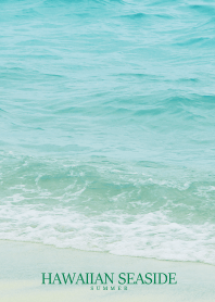 HAWAIIAN SEASIDE.MEKYM 27