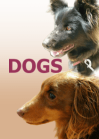 DOGS best friend