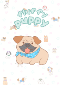 Puppy love4 v.turquoise