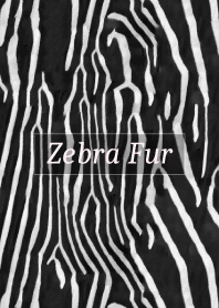 Zebra Fur 31