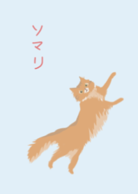 パステルブルー×ソマリ