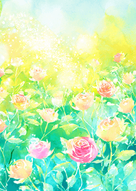 Beautiful rose flower(R2169)