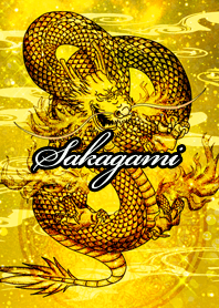 Sakagami Golden Dragon Money luck UP