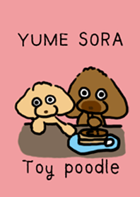 トイプのSora&Yume