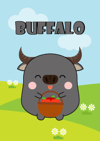Lovely Fat Buffalo Theme