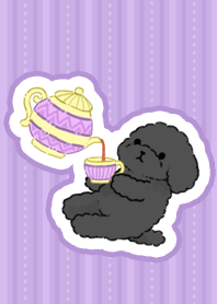 Tea party with black toy poodle