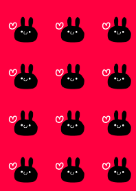 Black rabbit !