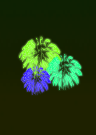 Fireworks in the night sky green