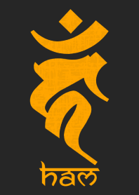 BONJI [haM] BLACK ORANGE (0187