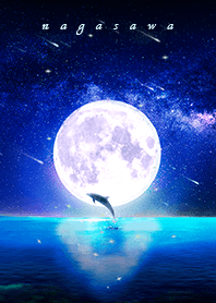 幸運を運ぶ月夜のイルカ✨ながさわ✨