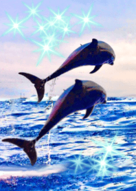 lucky dolphin Sea Blue
