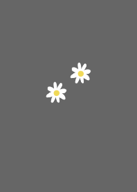 Dark gray and marguerite.