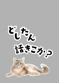 white 相談にのる猫