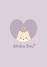 Shiba Inu2 Sunflower [PurplePink]