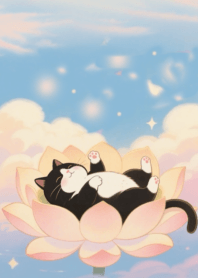 Cat:Wet Please Edition